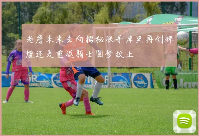 老詹未来去向揭秘联手库里再创辉煌还是重返骑士圆梦故土